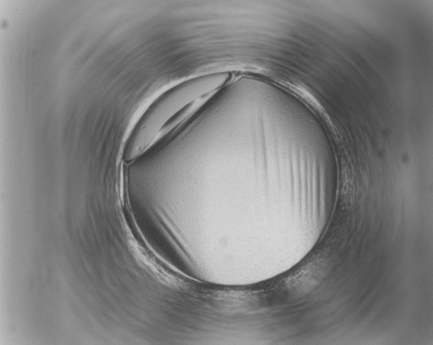 X0000054431132200508262341