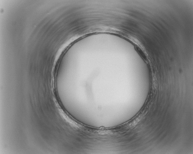 X0000054431136200508262341