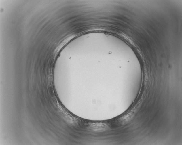 X0000054431137200508262341