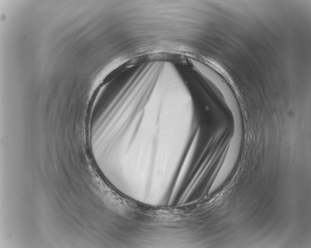 X0000054431138200508262341