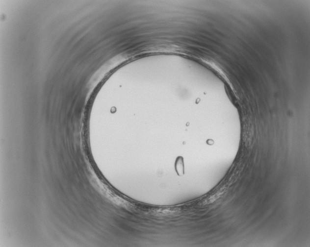 X0000054431139200508262341