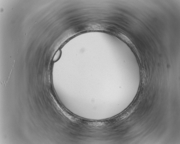 X0000054431141200508262341