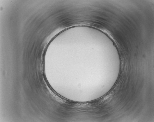 X0000054431143200508262341