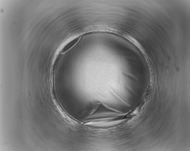 X0000054431144200508262341