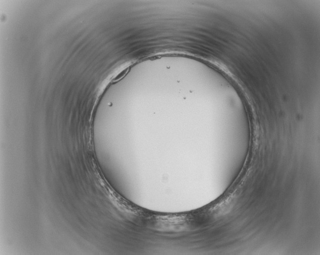 X0000054431145200508262341