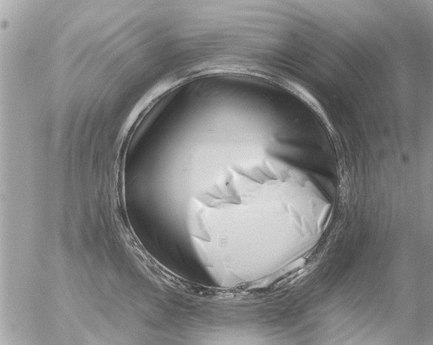 X0000054431146200508262341