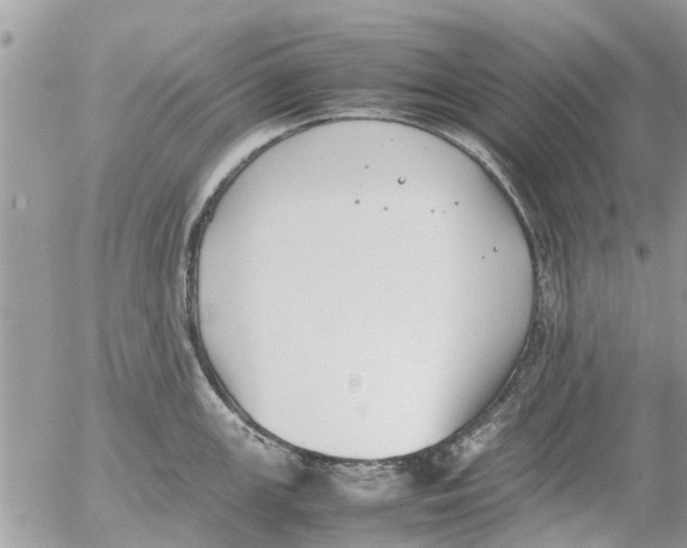 X0000054431147200508262341