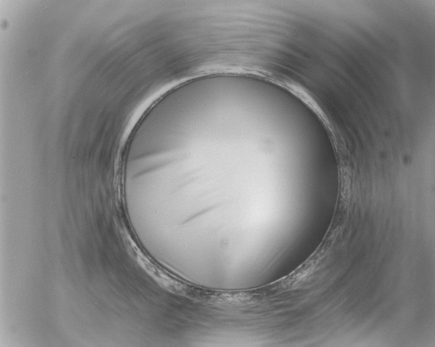 X0000054431148200508262341