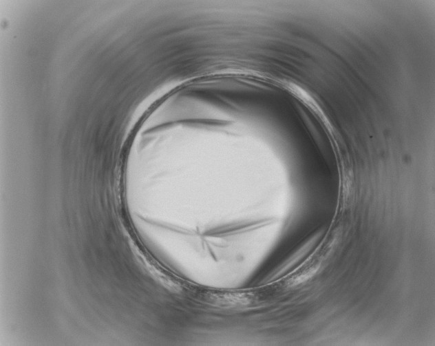 X0000054431149200508262341