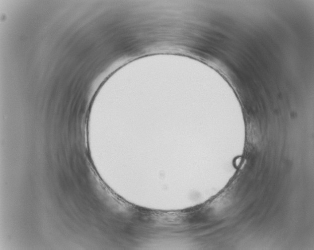 X0000054431150200508262341