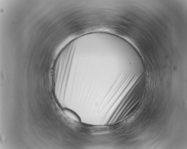 X0000054431151200508262341