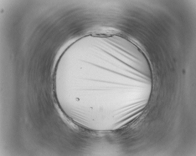 X0000054431152200508262341