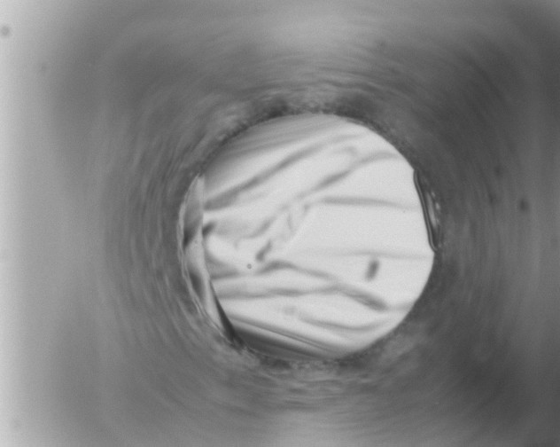 X0000054431153200508262340