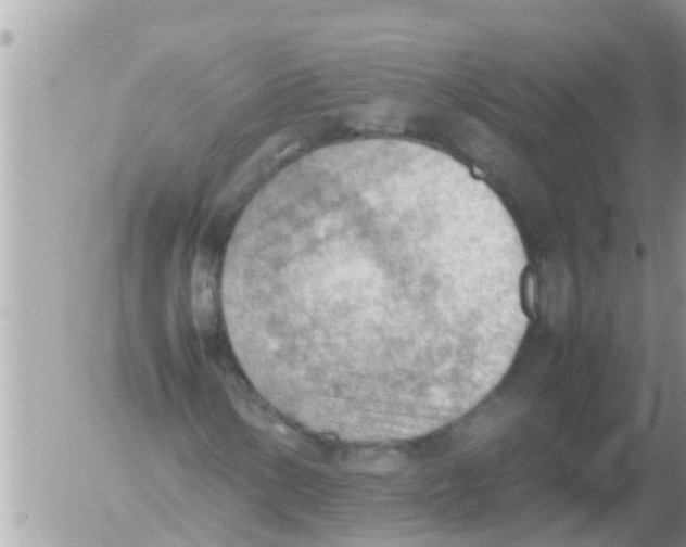 X0000054431154200508262340