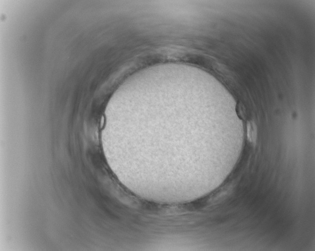 X0000054431155200508262340