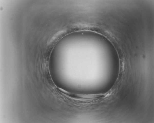 X0000054431157200508262340