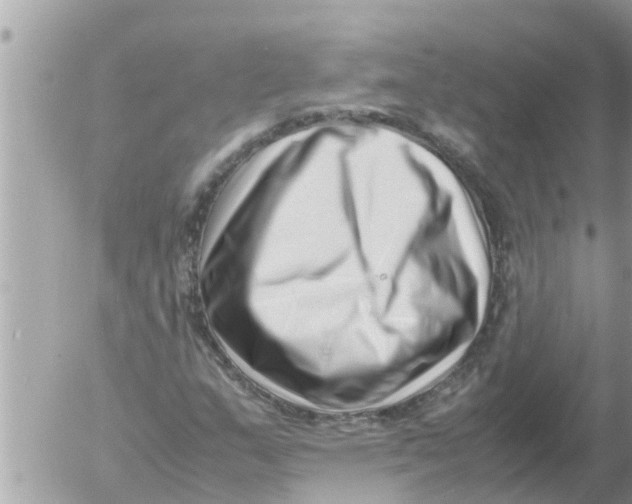 X0000054431159200508262340