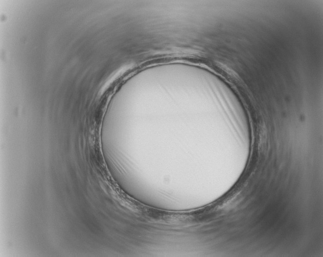 X0000054431163200508262340