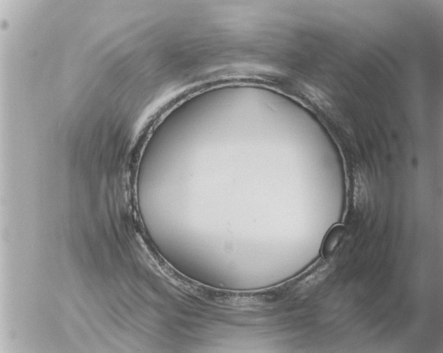 X0000054431164200508262340