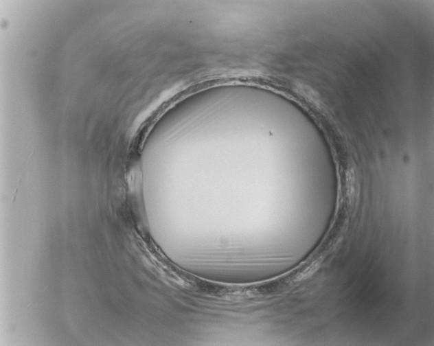 X0000054431165200508262340