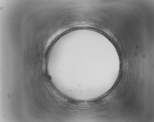 X0000054431167200508262340