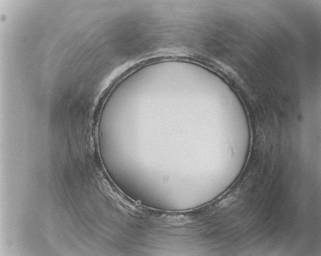 X0000054431168200508262340