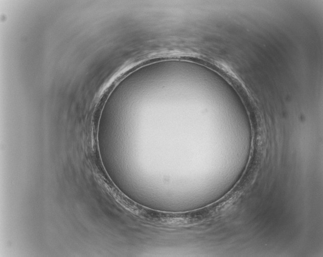 X0000054431173200508262340