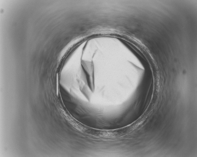 X0000054431175200508262340