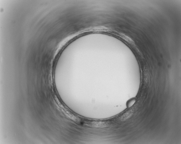 X0000054431176200508262340