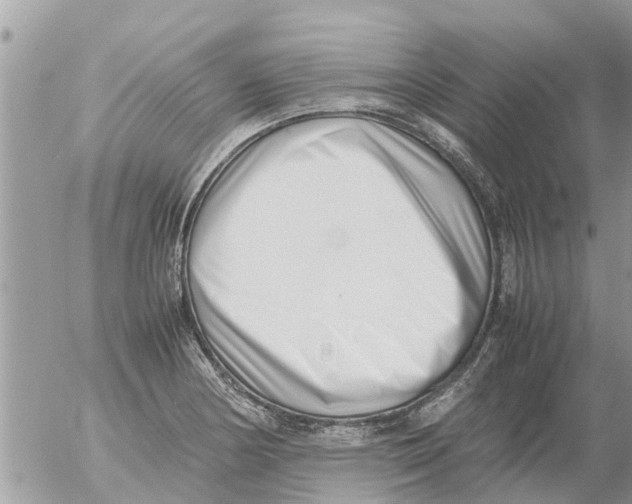 X0000054431178200508262340