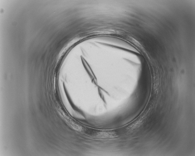 X0000054431179200508262340