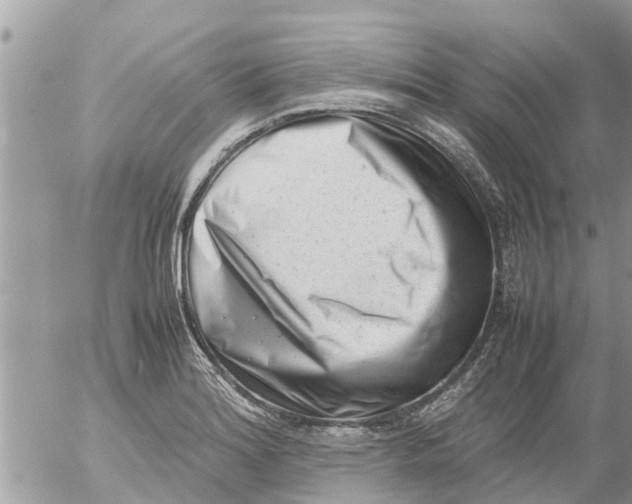 X0000054431180200508262340