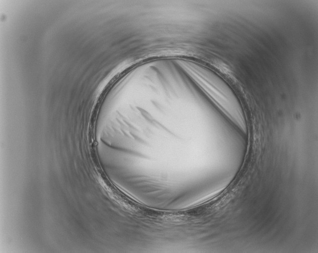 X0000054431181200508262340