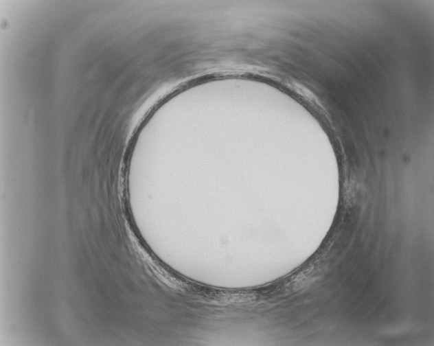 X0000054431183200508262340