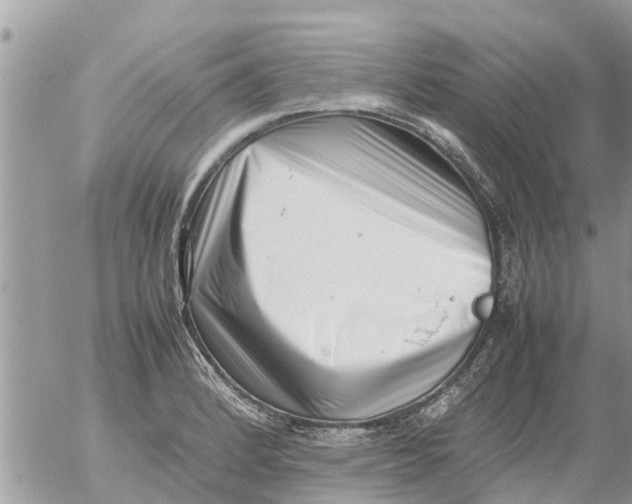 X0000054431184200508262340