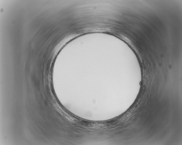 X0000054431187200508262340