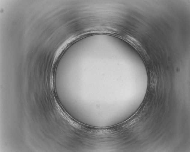 X0000054431188200508262340