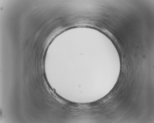 X0000054431191200508262339