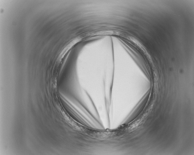 X0000054431193200508262339