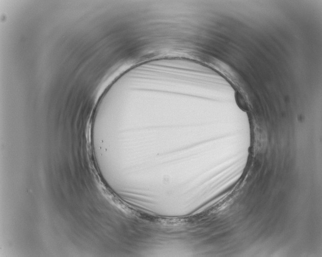 X0000054431198200508262339