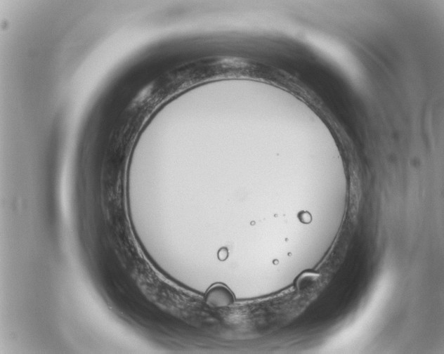 X0000054431199200508262339