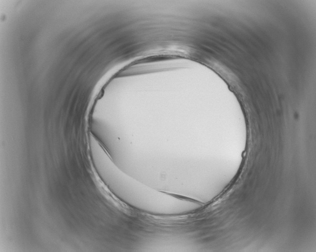 X0000054431200200508262339