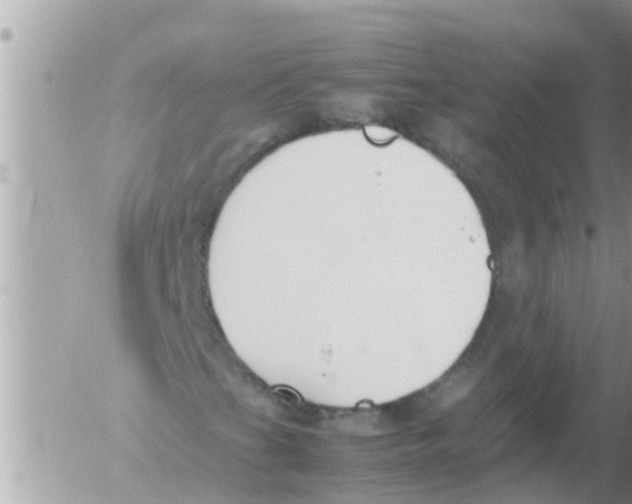 X0000054431201200508262339