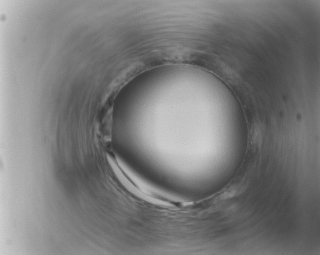 X0000054431202200508262339