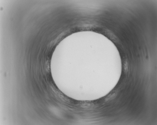 X0000054431204200508262339