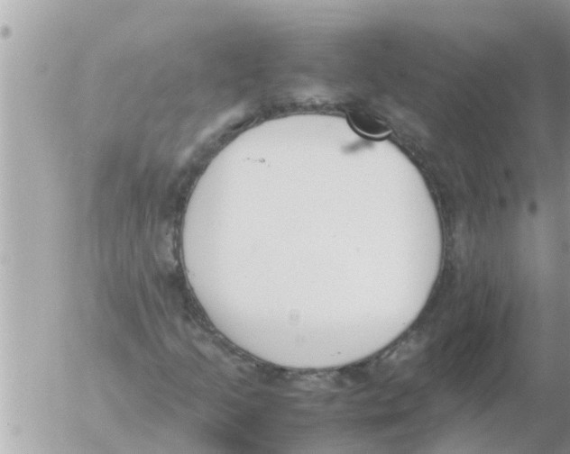 X0000054431205200508262339