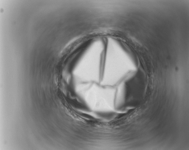 X0000054431206200508262339