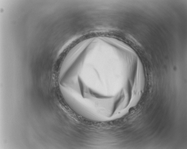 X0000054431208200508262339