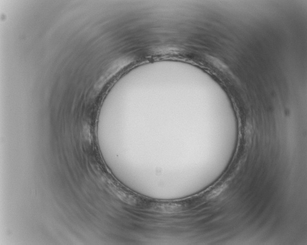 X0000054431209200508262339