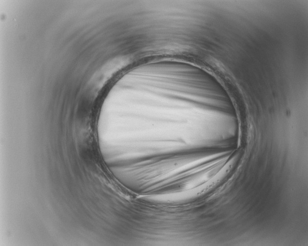 X0000054431210200508262339